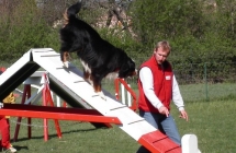 Agility